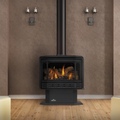 Napoleon Havelock Direct Vent Gas Stove | GDS50