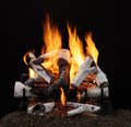Hearth & Home Technologies 30" 3-Tier Grand Birch cement log set (3TR-BRCH30)