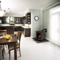 Napoleon Bayfield Direct Vent Cast Iron Gas Stove | GDS25
