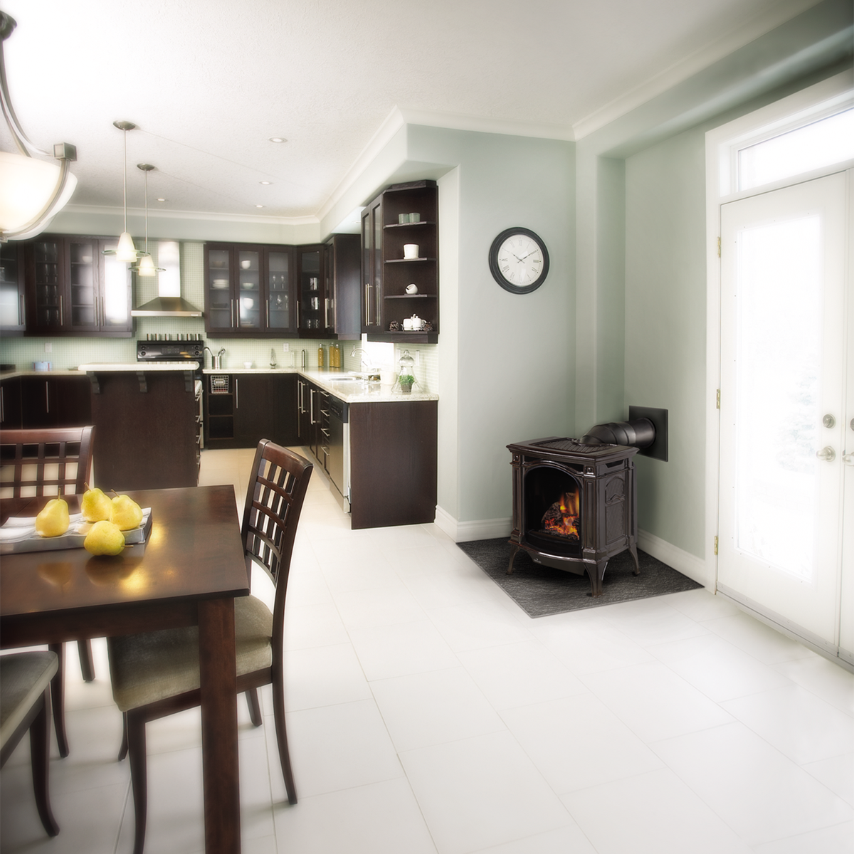 Napoleon Bayfield Direct Vent Cast Iron Gas Stove | GDS25