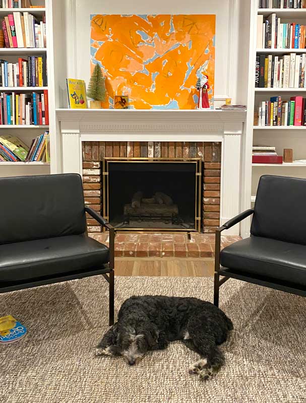 Sinclair Single-Panel Fireplace Screen, shown in a room setting