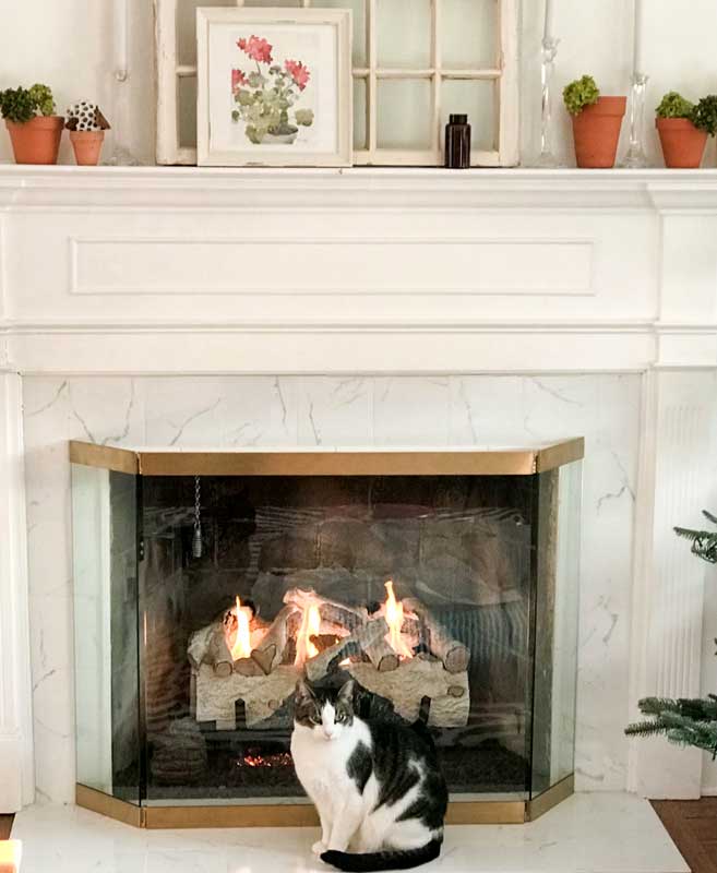 Modern Glass Folding Fireplace Screen, shown in a room setting